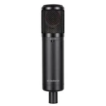 Electronics Multi Pattern Large Diaphragm Condenser Mic & Shockmount Filter. Fixed Price $399.00.