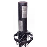 Stager Microphones Stereo SR-2N Ribbon. Fixed Price $1399.00.