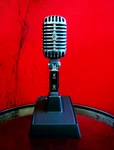 Vintage 1960'S Shure PE55SH Dynamic Cardioid Microphone Hi Z W S37A Stand. Fixed Price $225.33.