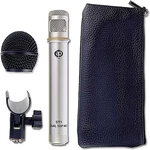 Aspen Pittman Designs Handheld Microphone DT1 Dual Top Condenser. Fixed Price $143.63.