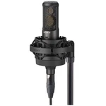 Sony C-100 Condenser Microphone Hi-res Compatible Type Side-address Model Black. Fixed Price $1057.49.