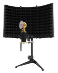 Rockville RCM02 Pro Studio Recording Condenser Microphone Mic+shock Mount+shield. Fixed Price $89.95.