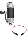 Aea Ribbon Mics R92 Big Instrument Pro Audio La. Fixed Price $1099.00.