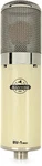 Avantone Pro BV-1 Mkii Large-diaphragm Tube Condenser Microphone. Fixed Price $719.10.