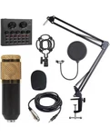 Professional Condenser Microphone With Patented Audio Reference Companding BM800. Fixed Price $59.00.