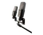 Warm Audio WA-14SP Stereo Pair Large-diaphragm Condenser Microphone. Fixed Price $679.99.