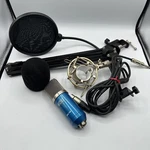 Tonor BM700 Condenser Microphone Kit W/ Boom Arm Shock Mount Pop Filter. Fixed Price $16.96.