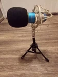 Earamble Microphone Blue BM-800 Studio Untested. Fixed Price $23.74.