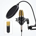 New Blackmore Pro Audio Xlr Podcast Streaming Condenser Microphone Kit BMP-24. Fixed Price $15.99.