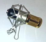 BM-800 Microphone Podcast Condenser. Fixed Price $14.99.